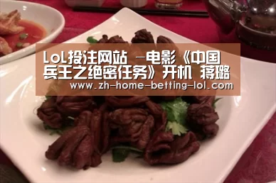 LoL投注网站 