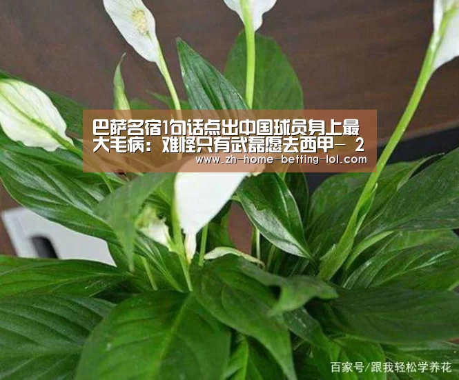 巴萨名宿1句话点出中国球员身上最大毛病:难怪只有武磊愿去西甲- 2026年最佳英雄联盟投注网站(图2) 2026年最佳英雄联盟投注网站